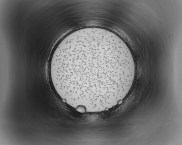 X0000093390798200711081604