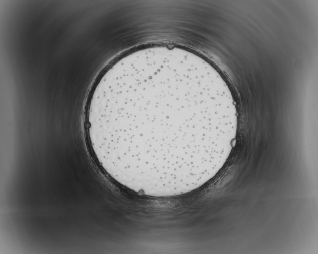 X0000093390799200711081604