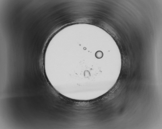 X0000093390800200711081604
