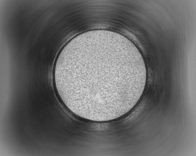 X0000093390802200711081604
