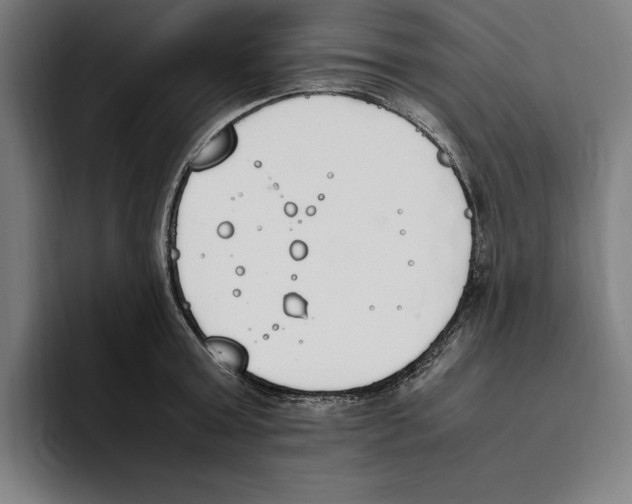 X0000093390803200711081604