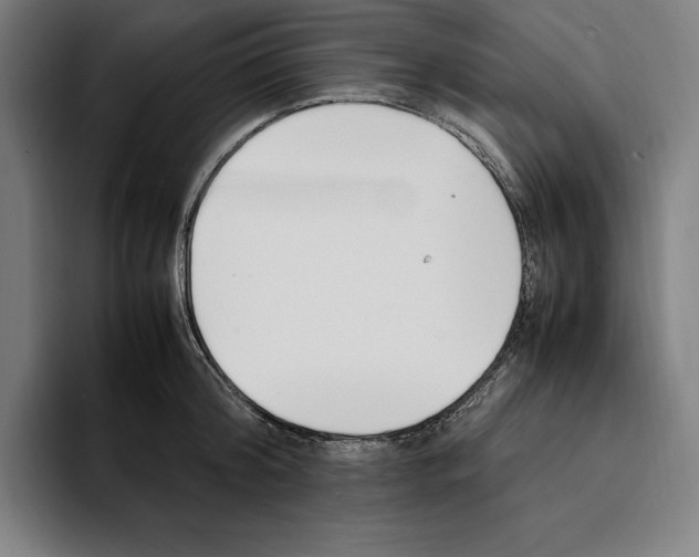 X0000093390804200711081604