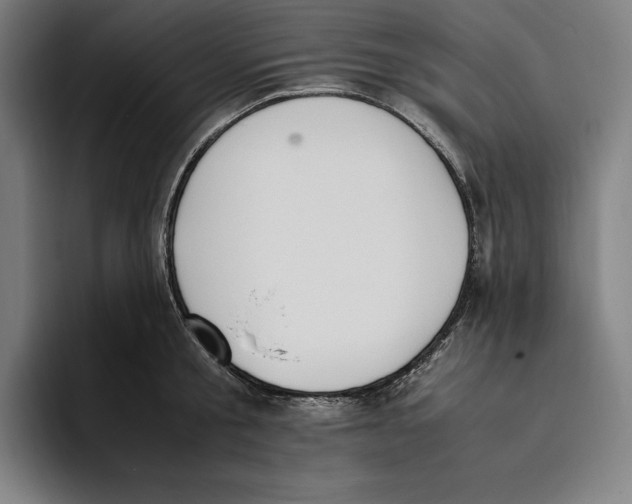 X0000093390805200711081604