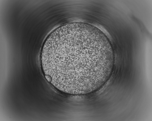 X0000093390806200711081604