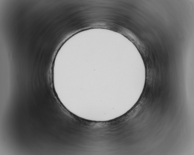 X0000093390808200711081604