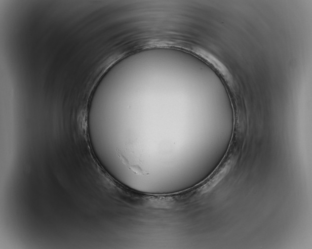 X0000093390809200711081604