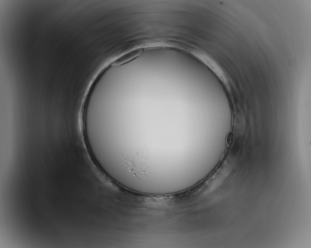 X0000093390813200711081604