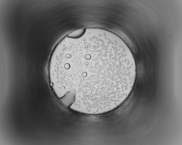 X0000093390814200711081604