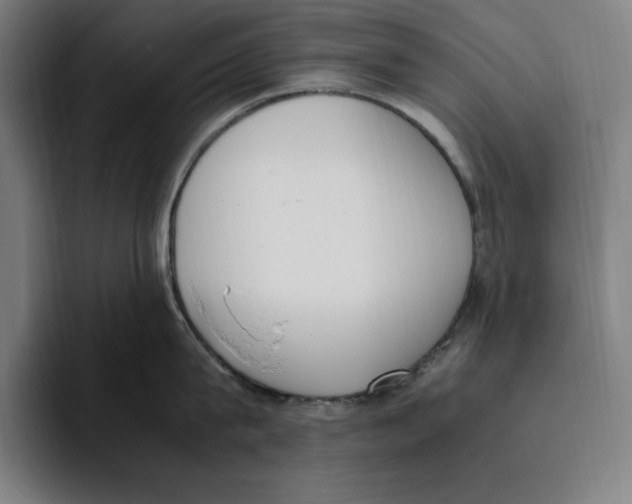 X0000093390815200711081604