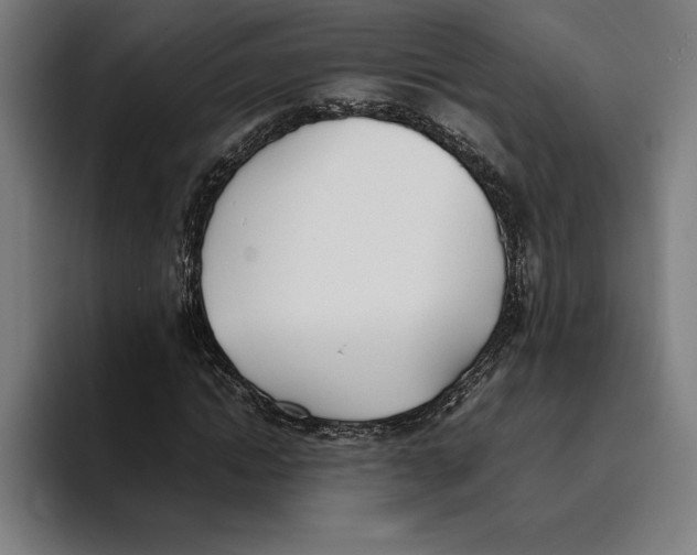 X0000093390822200711081604