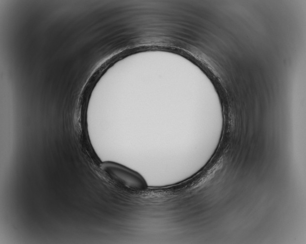 X0000093390830200711081604