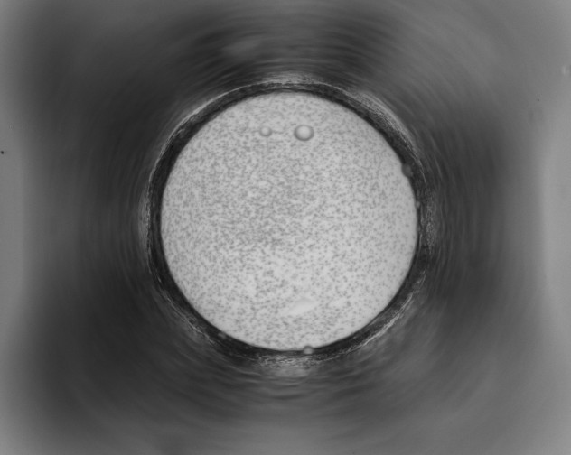 X0000093390831200711081604