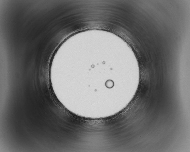 X0000093390836200711081604
