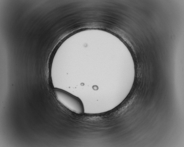 X0000093390837200711081604