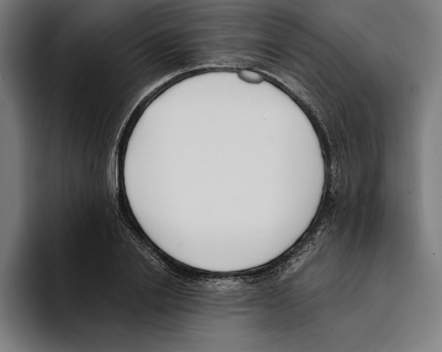 X0000093390838200711081604