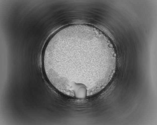 X0000093390839200711081604