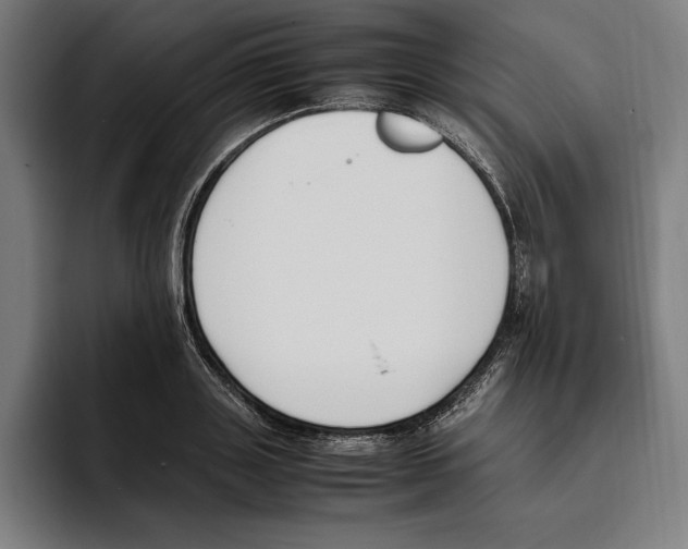 X0000093390843200711081604