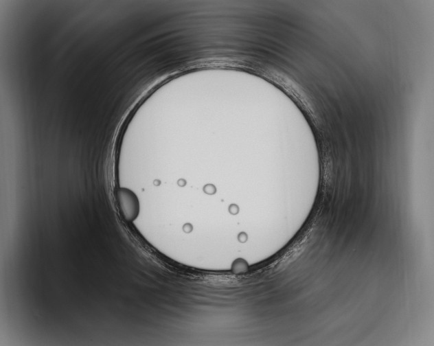 X0000093390844200711081604