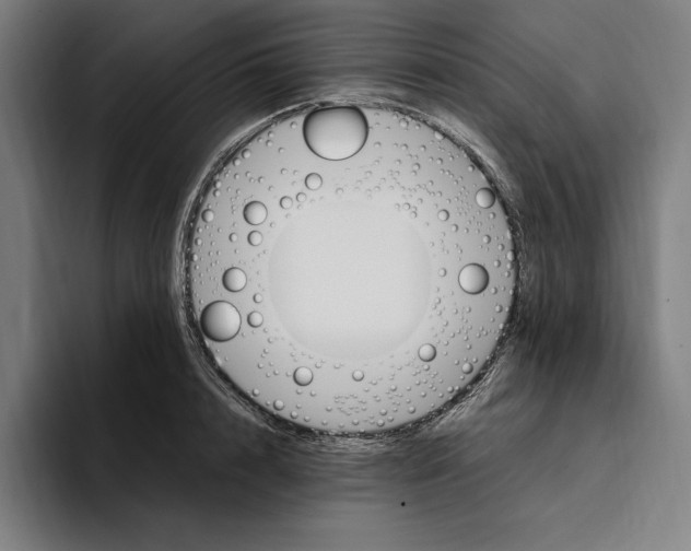 X0000093390848200711081604