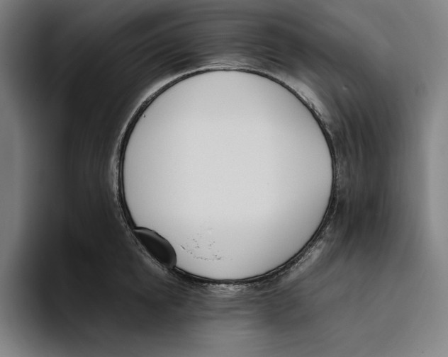 X0000093390854200711081604