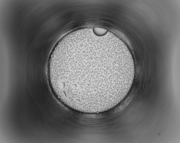 X0000093390855200711081604