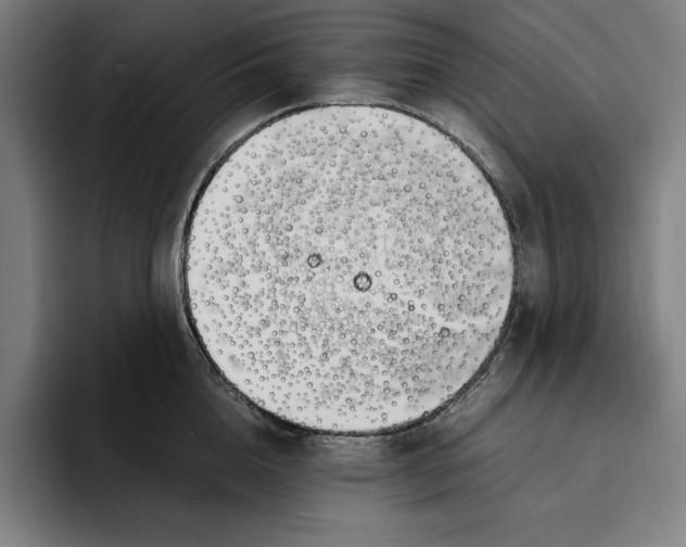 X0000093390856200711081604
