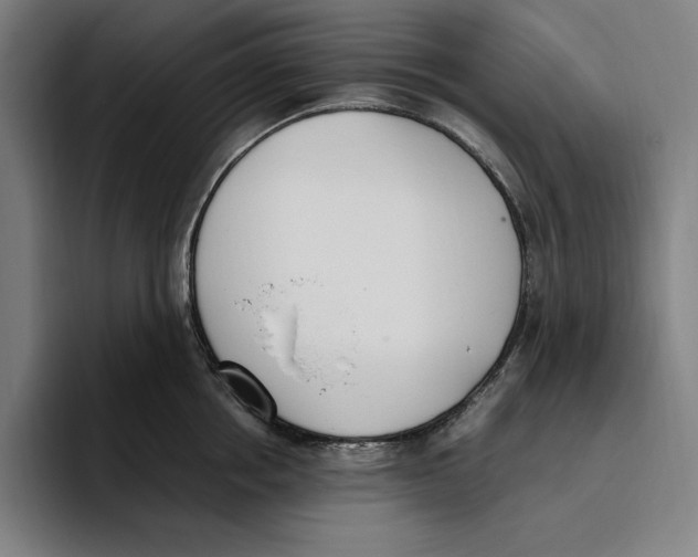 X0000093390858200711081604