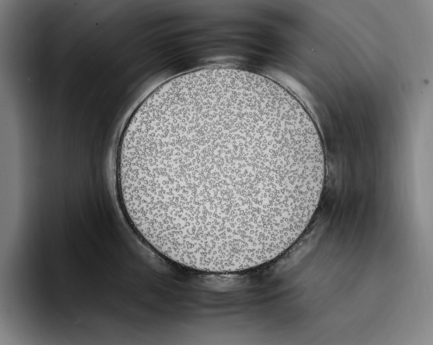 X0000093390859200711081604