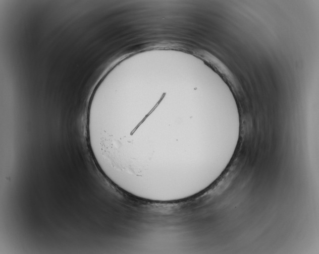 X0000093390860200711081604