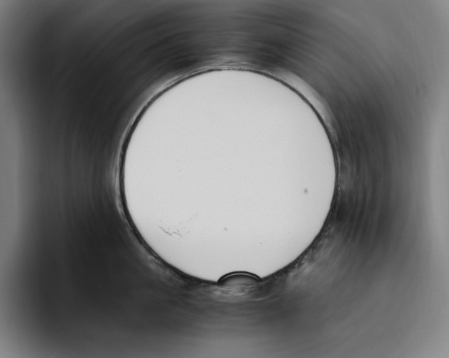 X0000093390861200711081604