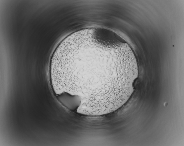 X0000093390863200711081604