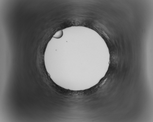 X0000093390865200711081604