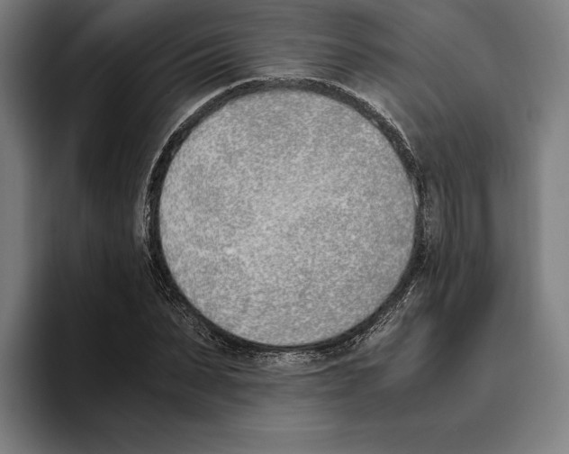 X0000093390879200711081603