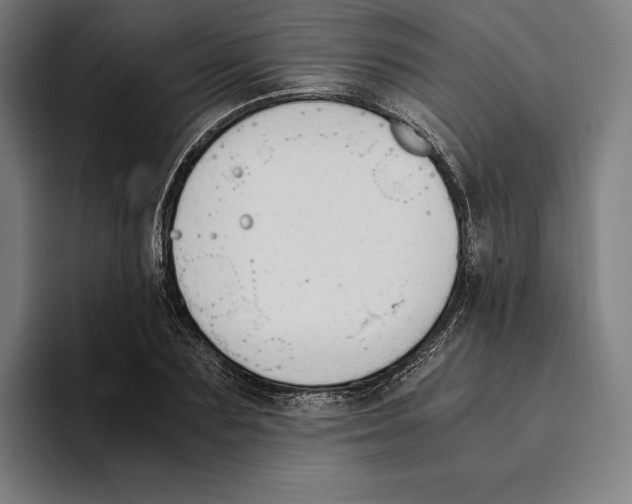 X0000093390883200711081603