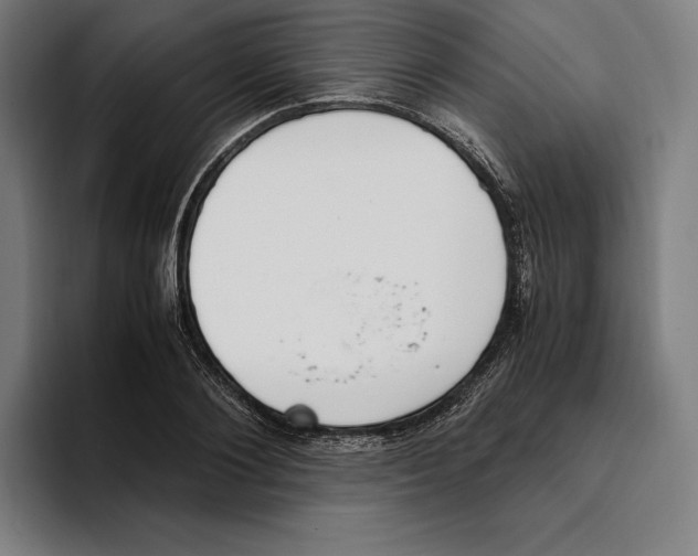 X0000093390884200711081603