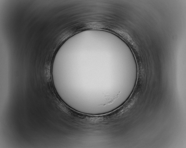 X0000093390889200711081603