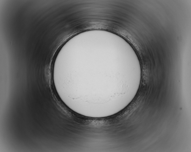X0000093390890200711081603