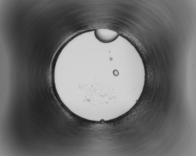 X0000093390894200711081603
