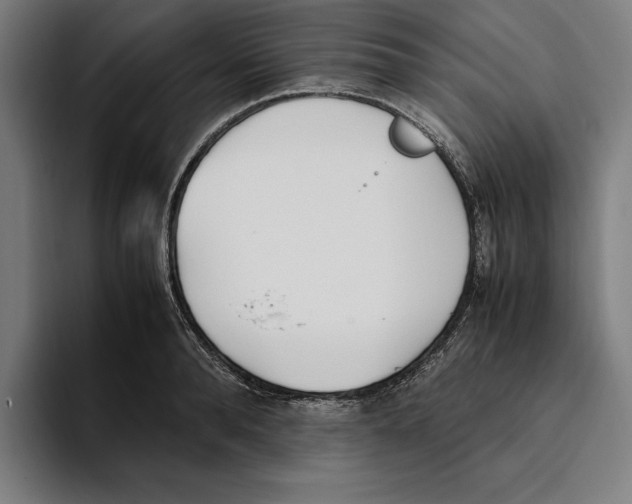X0000093390896200711081603