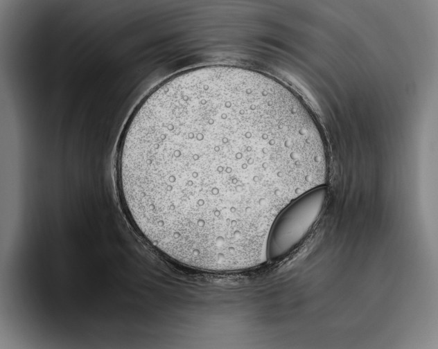 X0000093390899200711081603