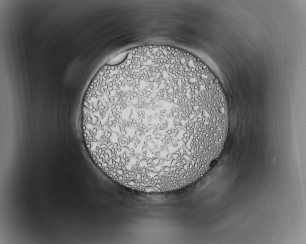 X0000093390911200711081603