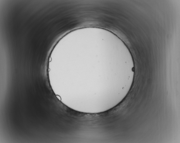 X0000093390912200711081603