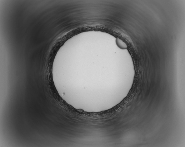 X0000093390920200711081602