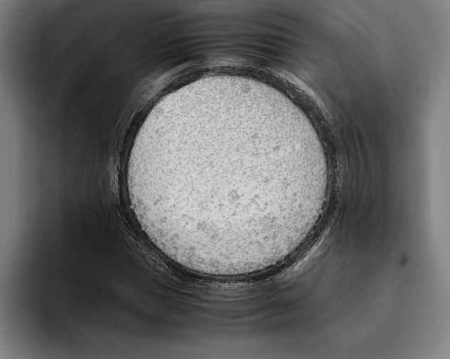X0000093390921200711081602