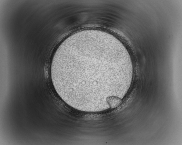 X0000093390929200711081602