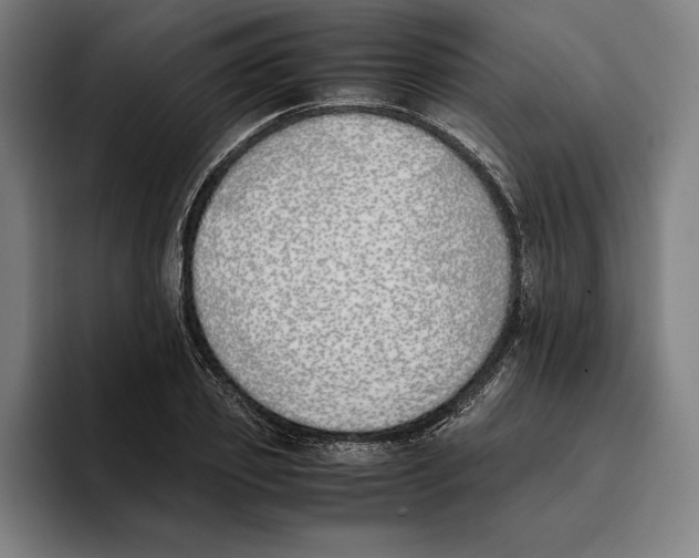 X0000093390933200711081603