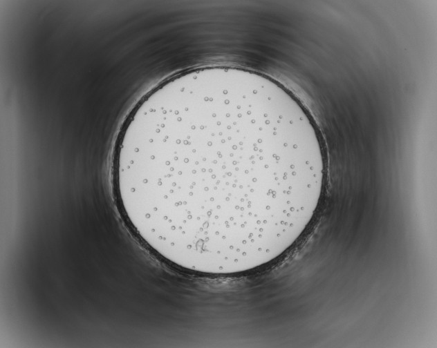 X0000093390949200711081603