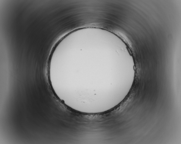 X0000093390952200711081603