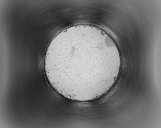 X0000093390953200711081603