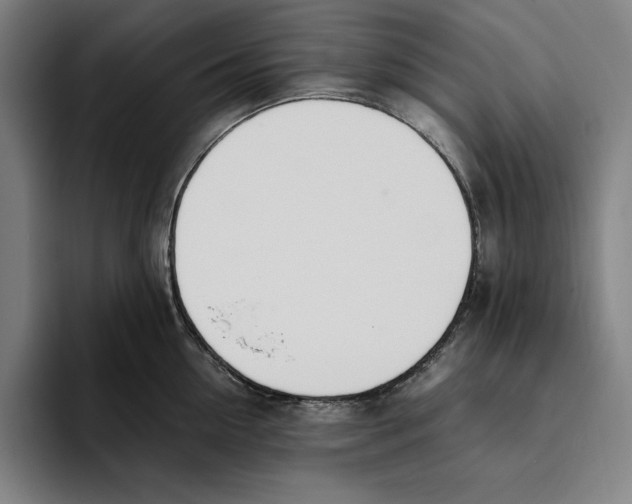 X0000093390954200711081603